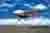 Click image for larger version

Name:	tiny taylorcraft.jpg
Views:	187
Size:	9.8 KB
ID:	147995
