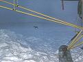 Click image for larger version

Name:	moosecrx.jpg
Views:	211
Size:	102.8 KB
ID:	148037