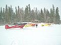 Click image for larger version

Name:	snowvogel.jpg
Views:	338
Size:	55.4 KB
ID:	148134