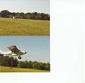 Click image for larger version

Name:	maule taking off at lee\'s.jpg
Views:	148
Size:	34.9 KB
ID:	148135