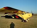 Click image for larger version

Name:	duck.jpg
Views:	310
Size:	27.3 KB
ID:	148150