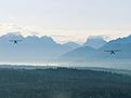 Click image for larger version

Name:	sunrise.jpg
Views:	423
Size:	10.8 KB
ID:	148234