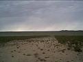 Click image for larger version

Name:	runway with weeds.jpg
Views:	307
Size:	30.4 KB
ID:	148238