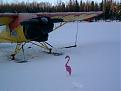 Click image for larger version

Name:	flamingo2.jpg
Views:	162
Size:	66.1 KB
ID:	148335