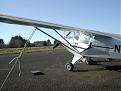 Click image for larger version

Name:	Willapa Harbor Airport.jpg
Views:	123
Size:	77.0 KB
ID:	148377