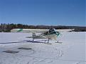 Click image for larger version

Name:	44008SKI1.jpg
Views:	194
Size:	35.1 KB
ID:	148383