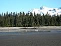 Click image for larger version

Name:	DSCN0065.JPG
Views:	166
Size:	86.4 KB
ID:	148433