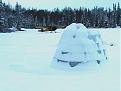 Click image for larger version

Name:	IglooHome.jpg
Views:	106
Size:	71.1 KB
ID:	148598