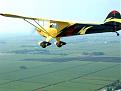 Click image for larger version

Name:	Duck over cane fields in Louisiana.jpg
Views:	111
Size:	27.1 KB
ID:	148662