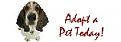 Click image for larger version

Name:	banner_pets.jpg
Views:	113
Size:	3.7 KB
ID:	148708