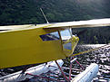 Click image for larger version

Name:	IMG_5944.jpg
Views:	125
Size:	78.2 KB
ID:	148917