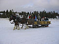 Click image for larger version

Name:	IMG_1898sm.jpg
Views:	100
Size:	45.0 KB
ID:	149065