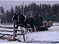 Click image for larger version

Name:	Johnny&amp;amp;Louie.jpg
Views:	96
Size:	108.5 KB
ID:	149066