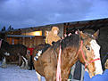 Click image for larger version

Name:	IMG_1900sm.jpg
Views:	88
Size:	56.6 KB
ID:	149067