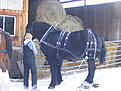 Click image for larger version

Name:	IMG_1901sm.jpg
Views:	102
Size:	62.0 KB
ID:	149068