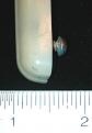 Click image for larger version

Name:	glovebox handle end.jpg
Views:	108
Size:	86.1 KB
ID:	149073