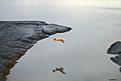 Click image for larger version

Name:	60T_mdtsh 1288.jpg
Views:	230
Size:	73.6 KB
ID:	149399