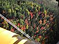 Click image for larger version

Name:	wing-tre #3.jpg
Views:	124
Size:	137.6 KB
ID:	149455