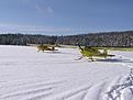 Click image for larger version

Name:	Picture 004.jpg
Views:	117
Size:	247.4 KB
ID:	150072