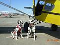 Click image for larger version

Name:	We're Cool We're Pilots.JPG
Views:	102
Size:	163.0 KB
ID:	150195