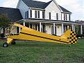 Click image for larger version

Name:	Clipwing in the front yard.jpg
Views:	232
Size:	217.3 KB
ID:	150479