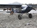 Click image for larger version

Name:	Moose2009_5.jpg
Views:	244
Size:	175.5 KB
ID:	150612