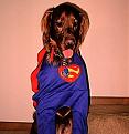 Click image for larger version

Name:	IMG_0067.jpg
Views:	83
Size:	38.8 KB
ID:	150702