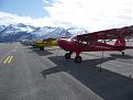 Click image for larger version

Name:	Alaska 2010 012.jpg
Views:	114
Size:	249.8 KB
ID:	150850