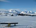 Click image for larger version

Name:	RebtTeeWLake.jpg
Views:	96
Size:	36.5 KB
ID:	152248