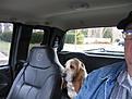 Click image for larger version

Name:	Kelli-Belle_Bob's_truck_(2).jpg
Views:	113
Size:	49.2 KB
ID:	152361
