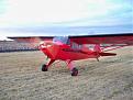 Click image for larger version

Name:	scarlet 1 lf.jpg
Views:	156
Size:	81.1 KB
ID:	152375