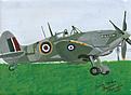 Click image for larger version

Name:	Warbird - British Spitfire.jpg
Views:	68
Size:	63.1 KB
ID:	152598