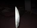 Click image for larger version

Name:	Hubcaps 023.jpg
Views:	152
Size:	232.0 KB
ID:	152608