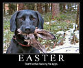 Click image for larger version

Name:	Easter Bunny.jpg
Views:	101
Size:	69.4 KB
ID:	152744