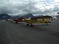 Click image for larger version

Name:	Valdez2011 (9).jpg
Views:	138
Size:	124.9 KB
ID:	152793