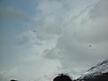 Click image for larger version

Name:	Valdez2011 (38).jpg
Views:	126
Size:	55.3 KB
ID:	152799