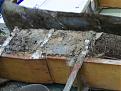 Click image for larger version

Name:	Mouse Nest 3.jpg
Views:	202
Size:	50.8 KB
ID:	152810