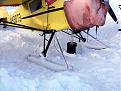 Click image for larger version

Name:	ski plane.jpg
Views:	205
Size:	123.5 KB
ID:	153147