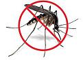 Click image for larger version

Name:	mosquito.jpg
Views:	24
Size:	8.0 KB
ID:	153640