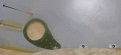 Click image for larger version

Name:	exhaust reinforcement.gif
Views:	142
Size:	115.7 KB
ID:	153953