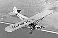 Click image for larger version

Name:	cub-glide.jpg
Views:	96
Size:	128.3 KB
ID:	154061