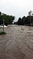 Click image for larger version

Name:	ted-flood-river-1.jpg
Views:	105
Size:	30.0 KB
ID:	154330