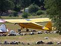 Click image for larger version

Name:	Resized Taylorcraft Flyin Columbia CA 2014 096.jpg
Views:	117
Size:	249.6 KB
ID:	154888