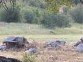 Click image for larger version

Name:	IMG_1653.JPG
Views:	94
Size:	42.5 KB
ID:	154893