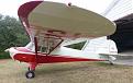 Click image for larger version

Name:	left wingtip.JPG
Views:	174
Size:	66.5 KB
ID:	156250