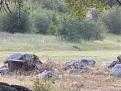 Click image for larger version

Name:	IMG_1653.jpg
Views:	137
Size:	141.3 KB
ID:	156464