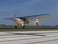 Click image for larger version

Name:	TAYLORCRAFT CARL CARSON LANDING 29624 a.jpg
Views:	167
Size:	158.2 KB
ID:	158013