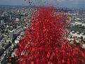 Click image for larger version

Name:	Poppy 3.jpg
Views:	139
Size:	94.2 KB
ID:	158426