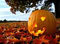 Click image for larger version

Name:	pumpkin.jpg
Views:	108
Size:	38.7 KB
ID:	158461