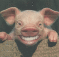 Click image for larger version

Name:	piggy.gif
Views:	83
Size:	27.6 KB
ID:	158601